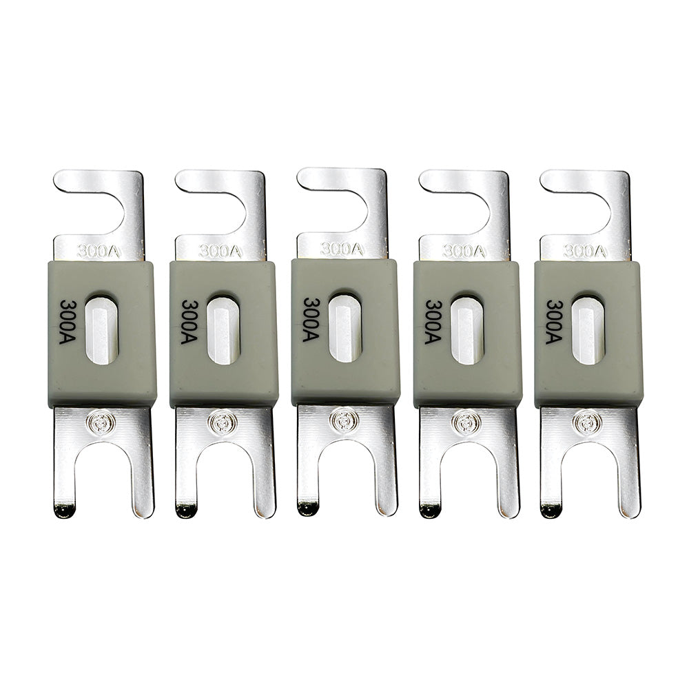 Victron ANL-Fuse 300A/80V f/48V Products (Package of 5) - CIP143300020