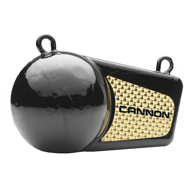 Cannon 10lb Flash Weight - 2295184 - CW28353 - Avanquil
