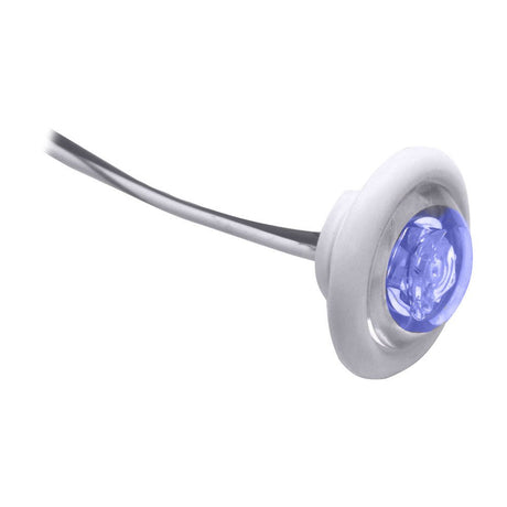 Innovative Lighting LED Bulkhead/Livewell Light "The Shortie" Blue LED w/ White Grommet - 011-2540-7 - CW39718 - Avanquil